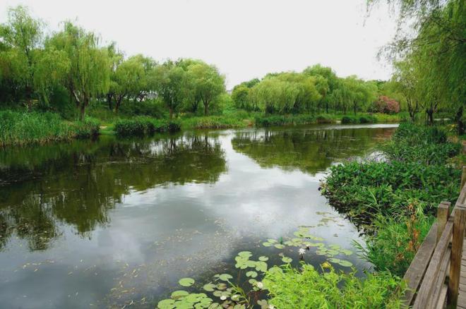 九游app：越秀楊浦天玥(售樓處)2024官方網(wǎng)站歡迎您-樓盤詳情-售樓中心(圖38)