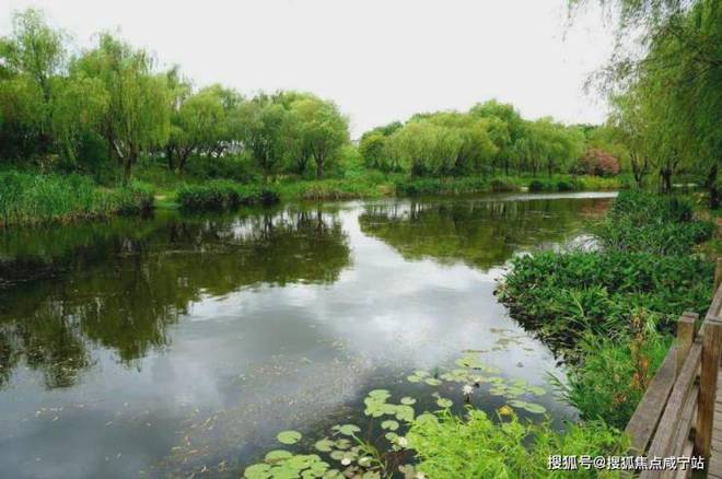 九游官網(wǎng)入口：楊浦天玥-(越秀·楊浦天玥)首頁網(wǎng)站-2024年最新價(jià)格(圖17)