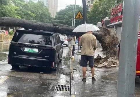 中國新能源車給的安全感！造車國家隊硬實力高品質(zhì)值得信賴(圖8)