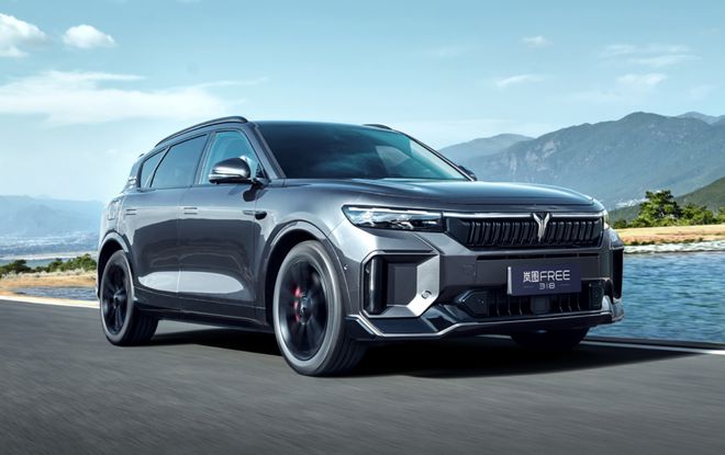 傳統(tǒng)車企打贏高端市場(chǎng) 嵐圖汽車2024年銷量引人注目(圖7)