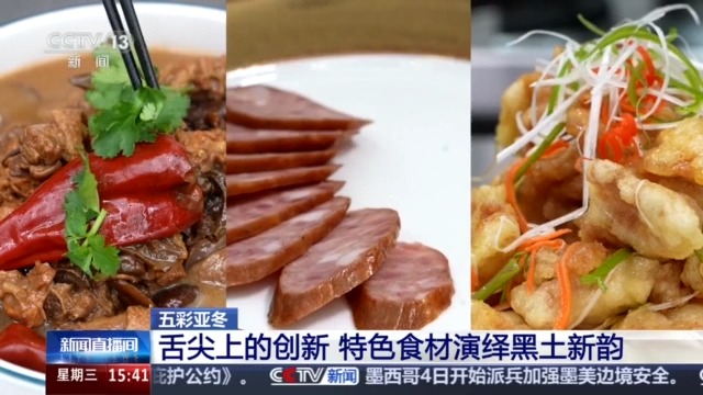 黑土地、黑科技、黑色資源 一起了解亞冬會里的黑色密碼(圖3)