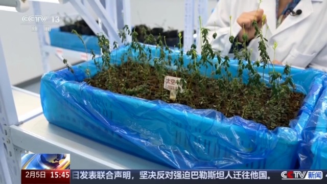 黑土地、黑科技、黑色資源 一起了解亞冬會里的黑色密碼(圖7)