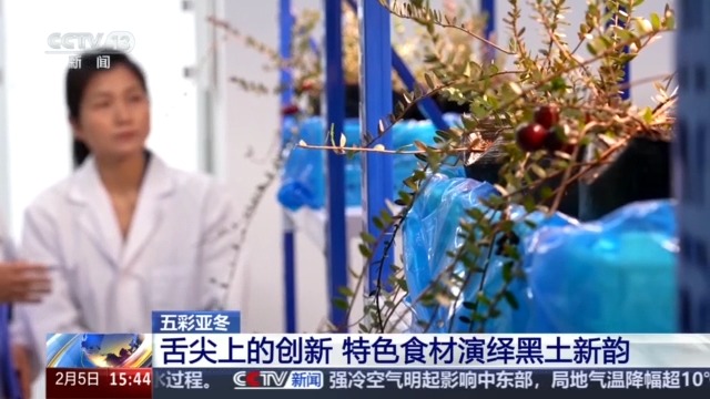 黑土地、黑科技、黑色資源 一起了解亞冬會里的黑色密碼(圖6)