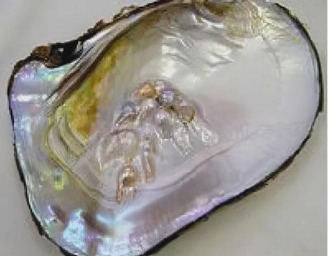 九游體育：中國(guó)又一“王牌”材料突破比鋼硬100倍即將邁入輕量化時(shí)代(圖9)
