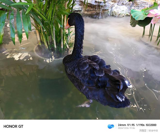 榮耀GT評測：更懂年輕人的潮流性能標桿(圖36)
