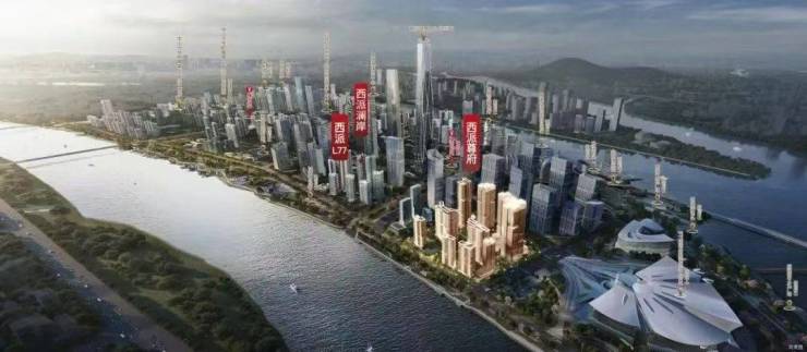 九游官網(wǎng)入口：中國(guó)高爾夫第一人-梁文沖 親臨!西派高爾夫再上專(zhuān)業(yè)高度(圖15)