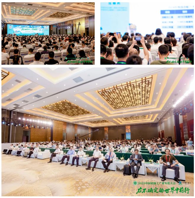 在不確定的世界尋找確定！2025中國鋁加工產(chǎn)業(yè)年度大會隆重召開